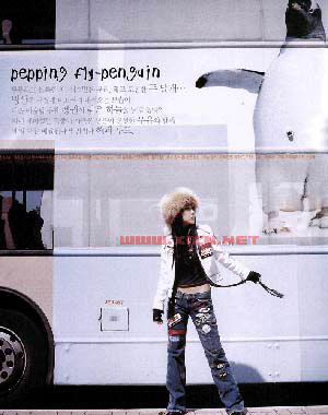 新鲜城市迁徙族